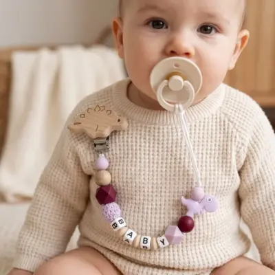 Food Grade Baby Teether Dummy Clip
